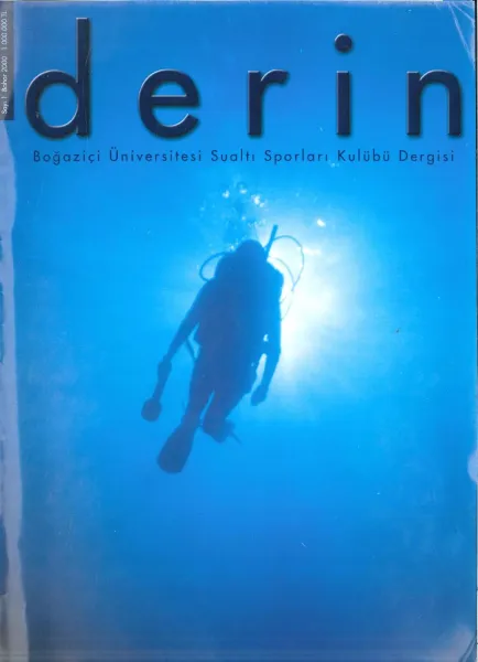 d e r i n Sayı 1 Kapak