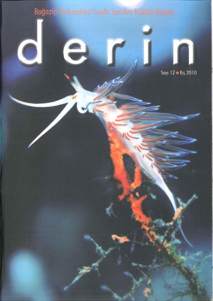 d e r i n Sayı 12 Kapak
