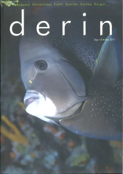 d e r i n Sayı 14 Kapak