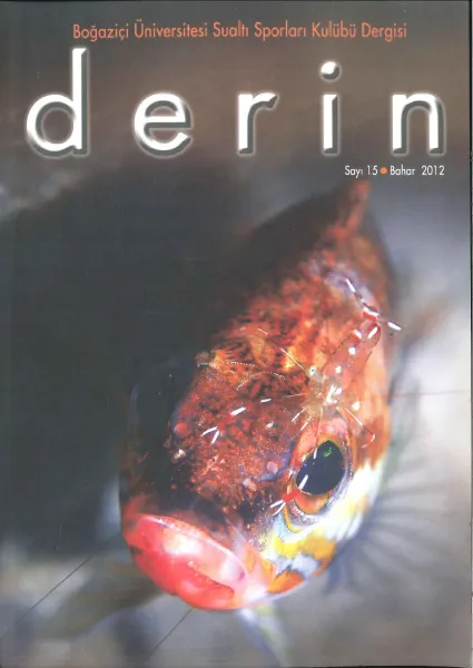d e r i n Sayı 15 Kapak