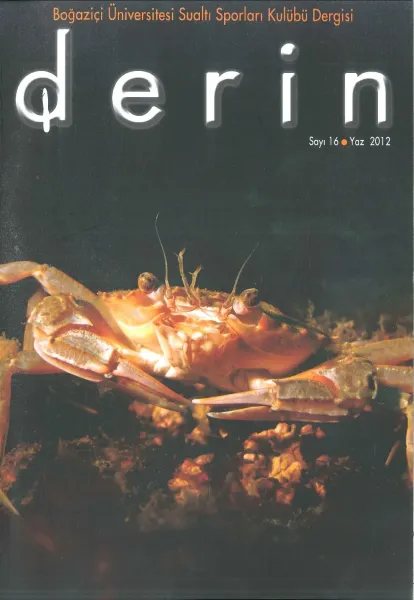 d e r i n Sayı 16 Kapak