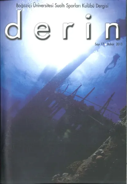 d e r i n Sayı 17 Kapak