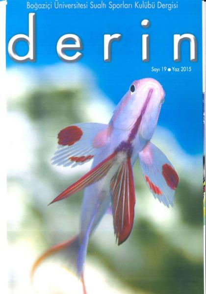 d e r i n Sayı 19 Kapak