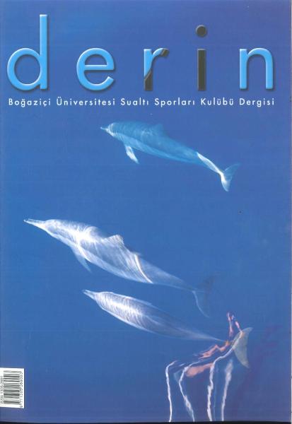 d e r i n Sayı 7 Kapak