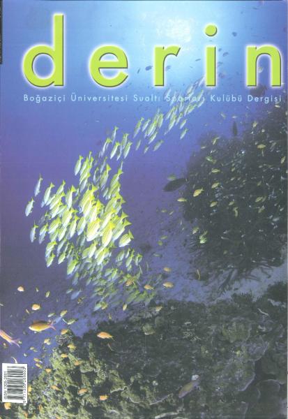 d e r i n Sayı 9 Kapak