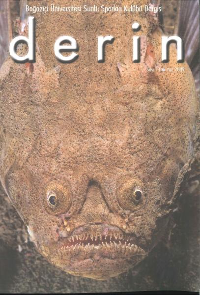 d e r i n Sayı 11 Kapak